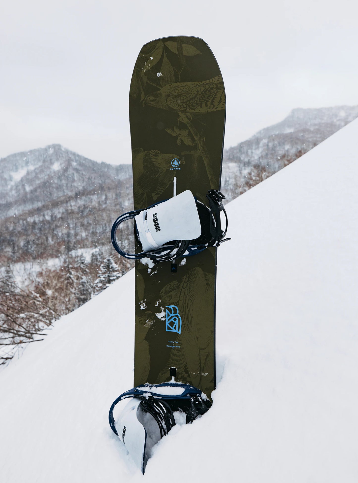 Burton Family Tree Hometown Hero Camber Snowboard 2026