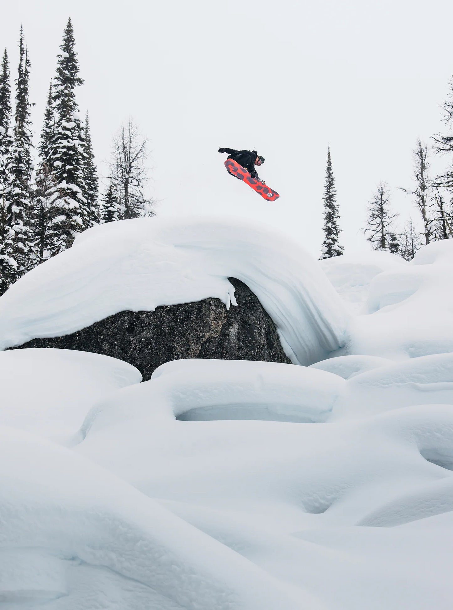 Burton Family Tree Hometown Hero Camber Snowboard 2026