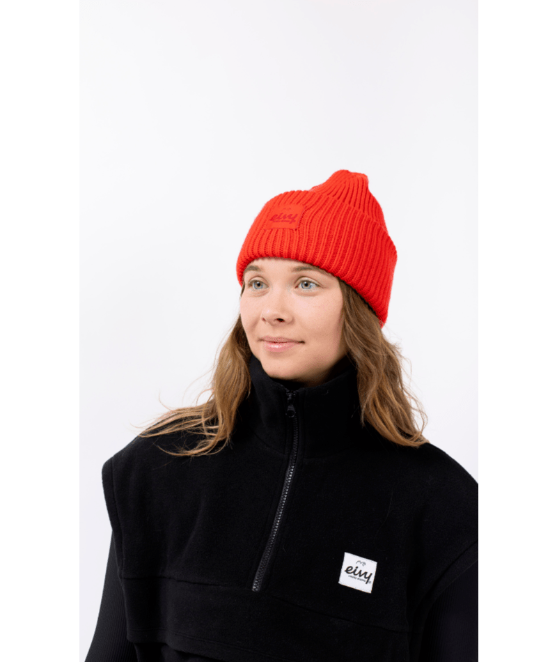 Eivy Tonal Beanie