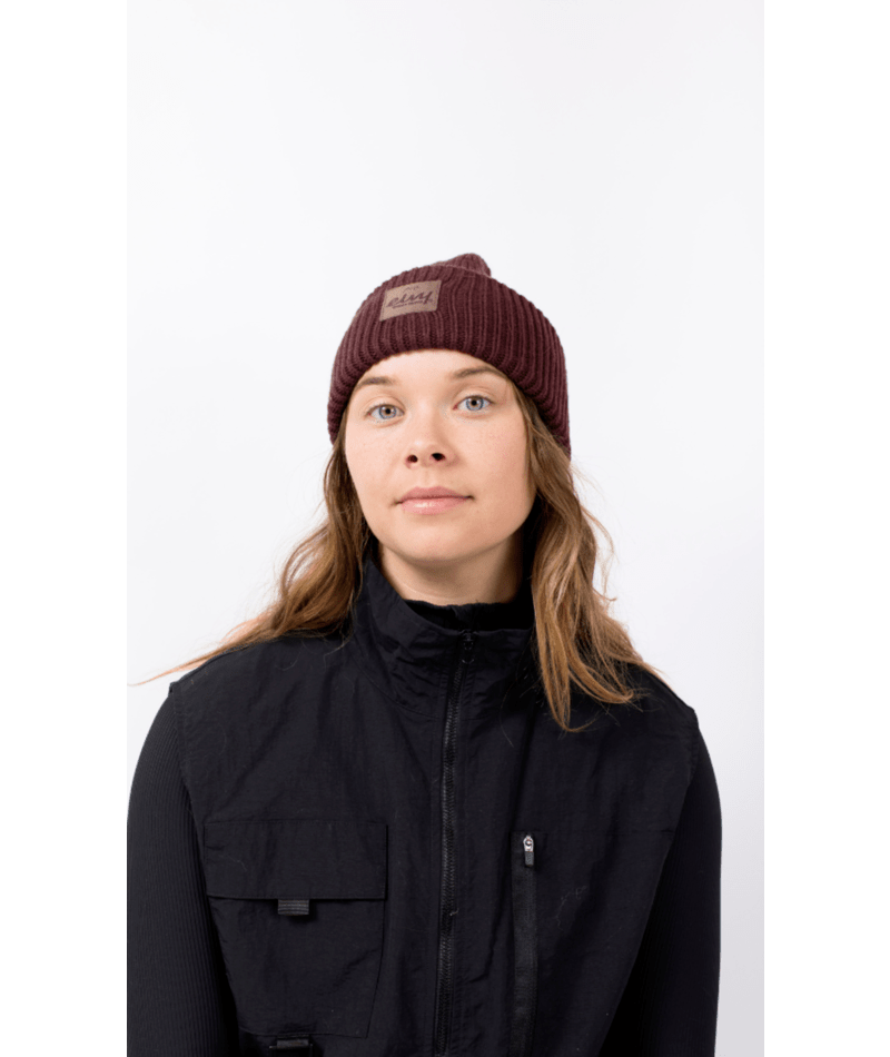 Eivy Tonal Beanie