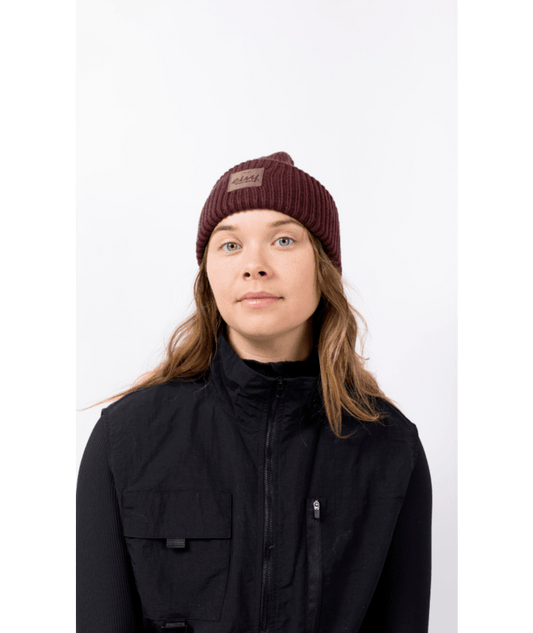 Eivy Tonal Beanie