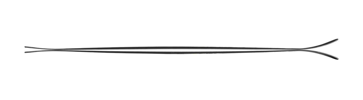 Nordica Enforcer 89 Skis 2025