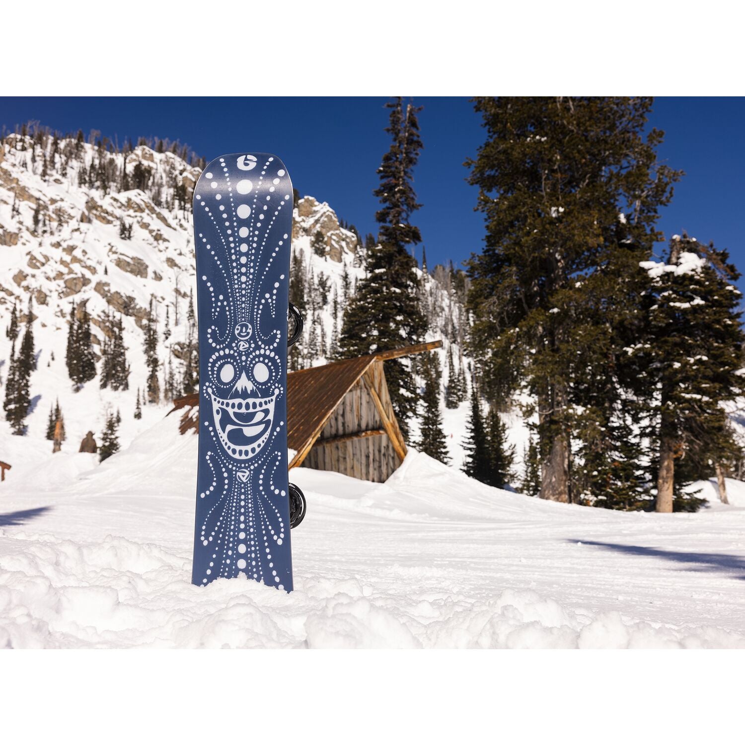 Burton Free Thinker Snowboard 2024 The Ski Chalet