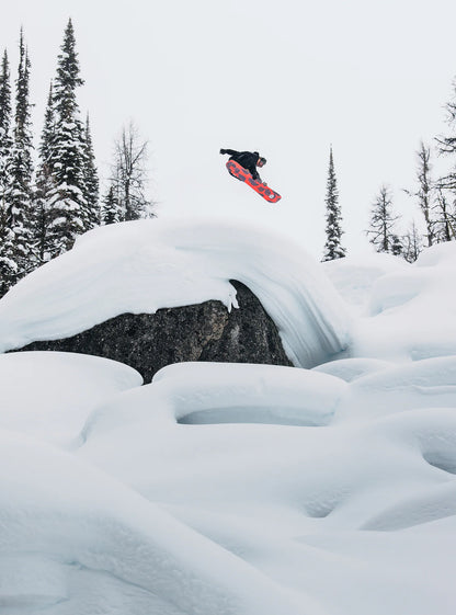 Burton Family Tree  Hometown Hero Camber Snowboard 2026