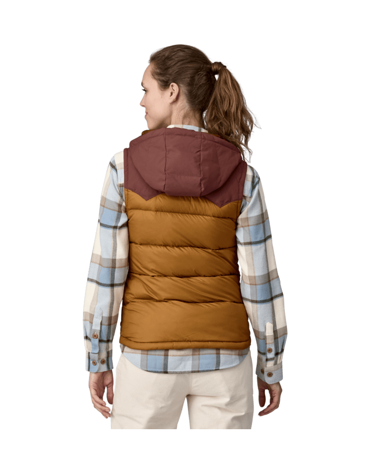 Patagonia Bivy Hooded Vest - Women's