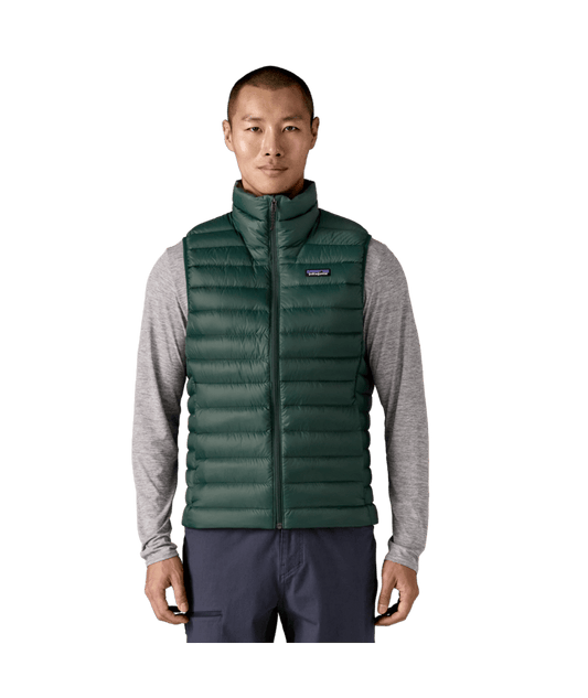 Patagonia Down Sweater - Men's
