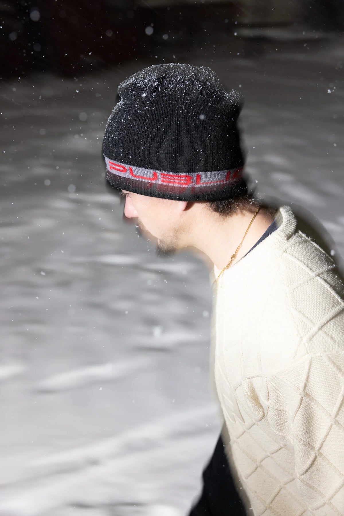 Public Stretch Logo Skully
