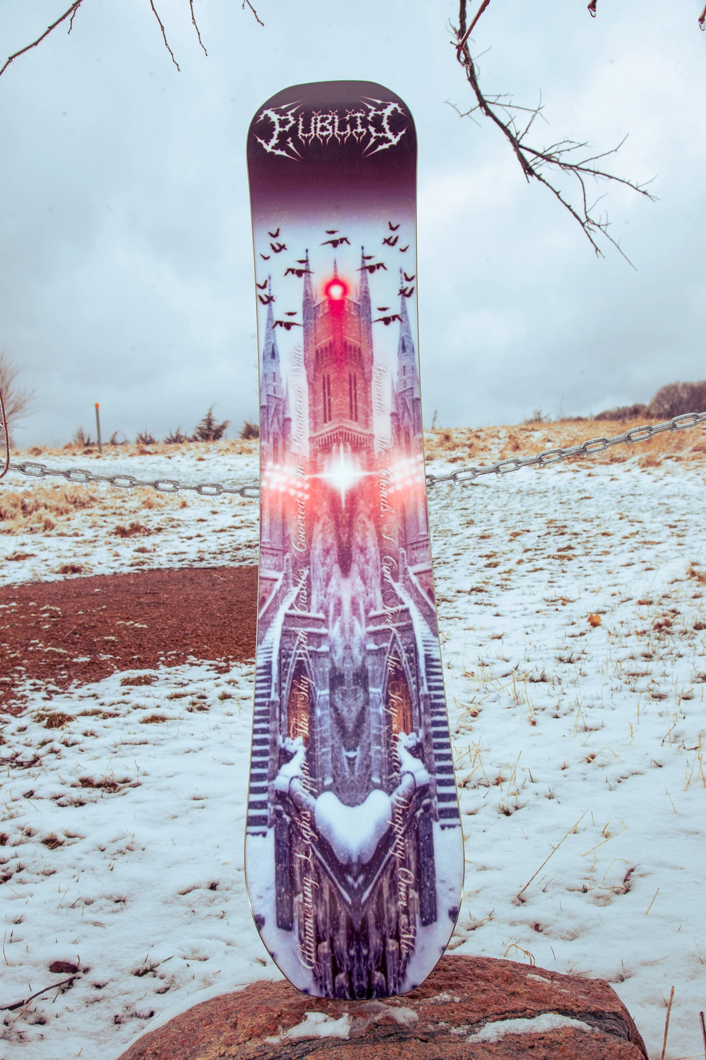 Public Dispute Snowboard 2026