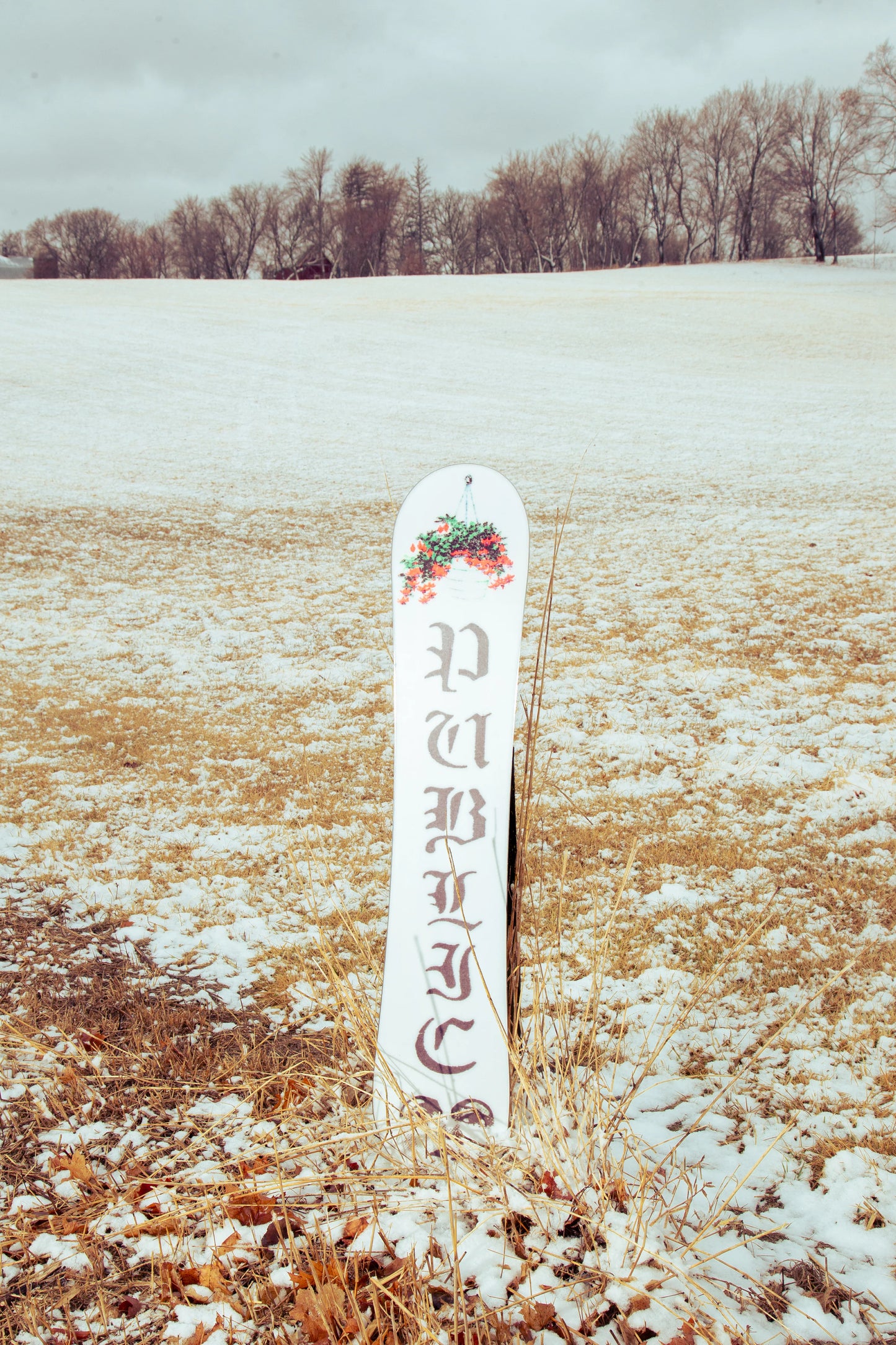 Public Disorder Snowboard 2026