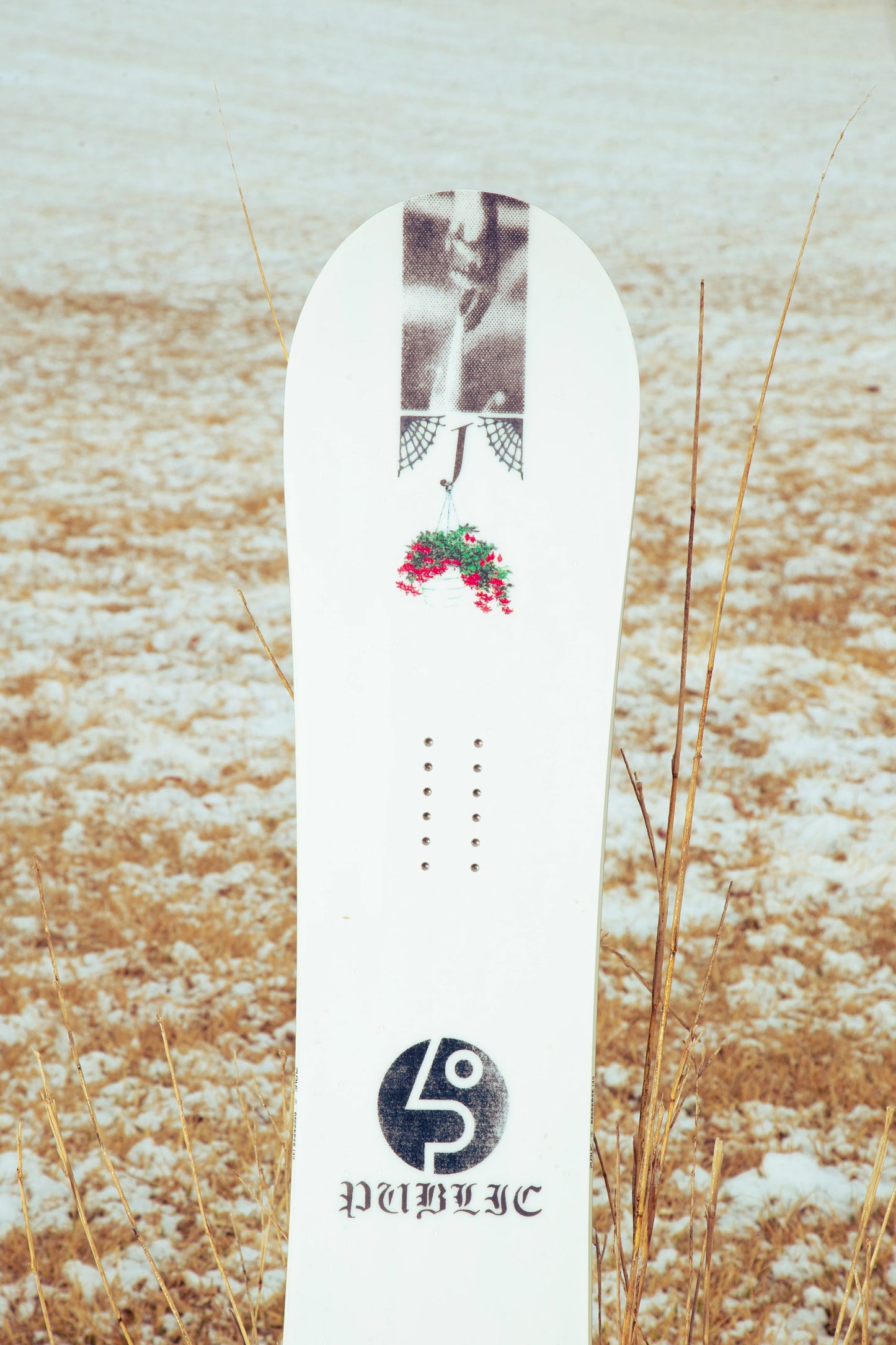 Public Disorder Snowboard 2026