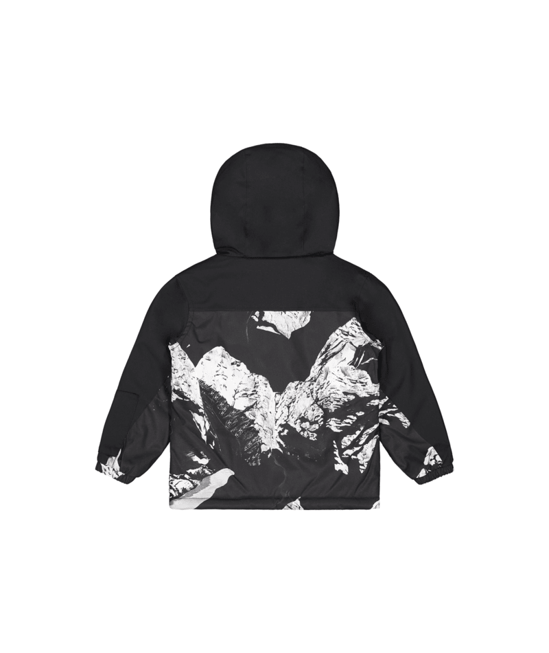 Picture Organic Snowy Printed Toddler Jacket - Toddlers'