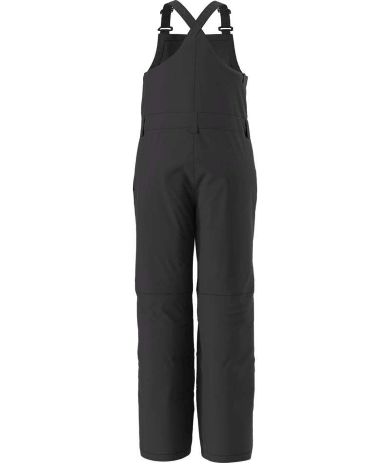 The North Face Teen Freedom Insulated Bibs - Kids'