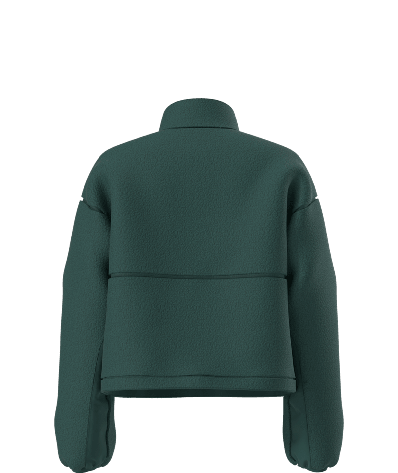 The North Face Extreme Pile 2 Pullover - Women's