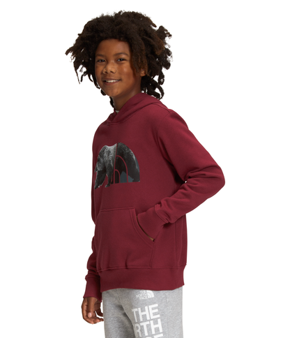 The North Face Camp Fleece Pullover - Kids'